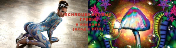 СК Заводоуковск