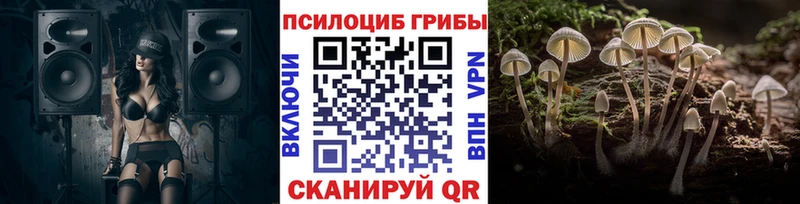 Псилоцибиновые грибы Psilocybine cubensis  Купить закладки  Карабаш 